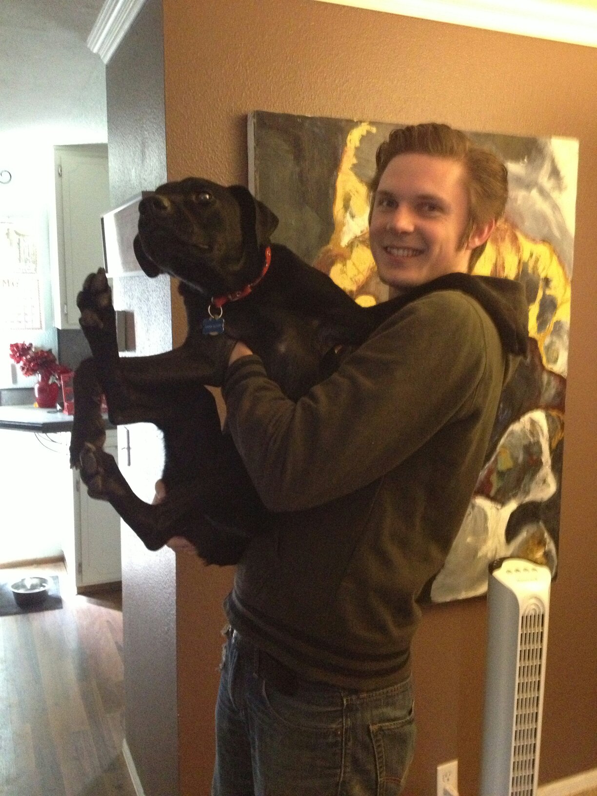 11 Oversized Dogs That Love Being Held Like A Baby Simpleblog Website